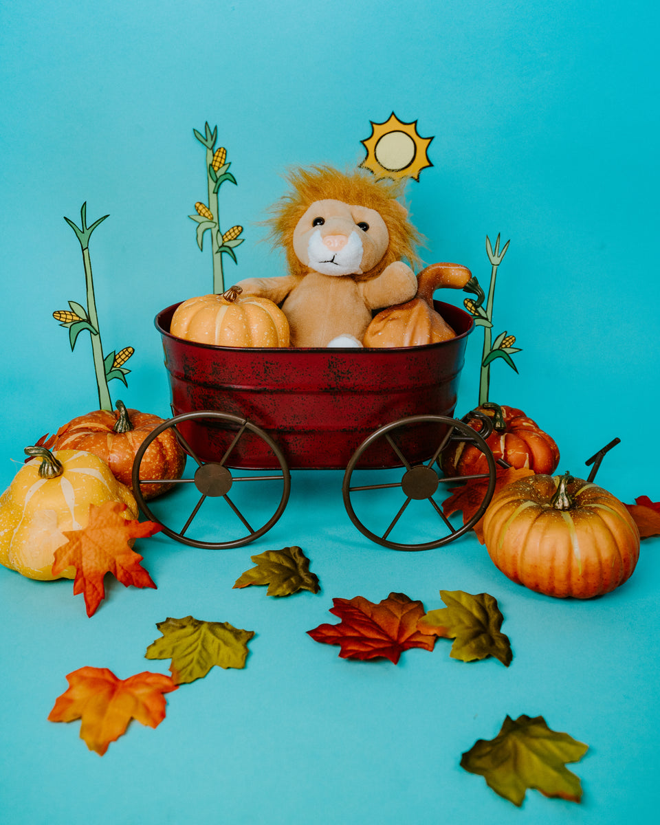 Fun Fall Craft Ideas for Kids Parties! ParTPets