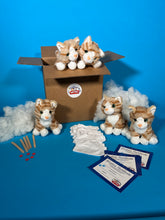 Charger l'image dans la visionneuse de la galerie, Cat plush 5 pack with shirts