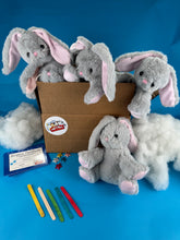 Charger l'image dans la visionneuse de la galerie, Plush Bunny 5 pack making kits