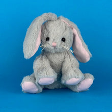 Load image into Gallery viewer, Front view of Plush Bunny