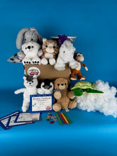 Load image into Gallery viewer, Plush Teddy making 10 pack kits