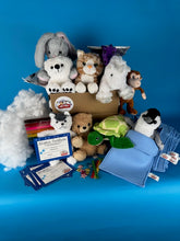 Charger l'image dans la visionneuse de la galerie, Slumber party pack 10 Plush animals