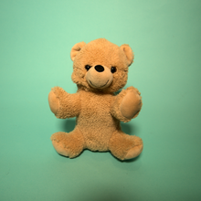 Load image into Gallery viewer, Teddy Bear Plush making Brown Bear - Par-T-Pet