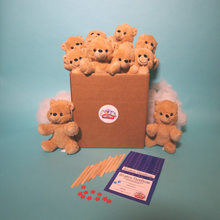Charger l'image dans la visionneuse de la galerie, Teddy Bear making Brown Bear - 10 Pack (Basic) - no t shirts - ParTPets
