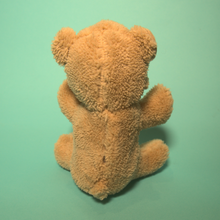 Load image into Gallery viewer, Teddy Bear Plush making Brown Bear - Par-T-Pet