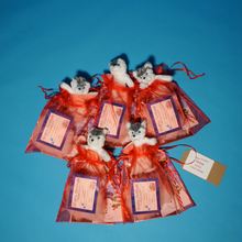 Charger l'image dans la visionneuse de la galerie, Winter Wonderland Holiday Par-T-Pet