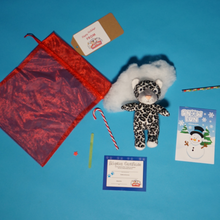 Charger l'image dans la visionneuse de la galerie, Christmas Par-T-Pet Holiday Teddy making kit contents