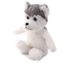 Charger l'image dans la visionneuse de la galerie, Winter Wonderland Holiday Par-T-Pet Husky