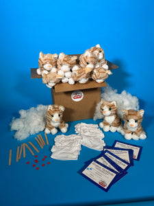 PLush Ornage cat 10 pack with t shirt accessory