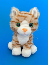 Load image into Gallery viewer, Front view of orange plush cat