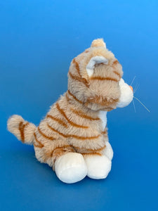 Picture of orange cat side view 