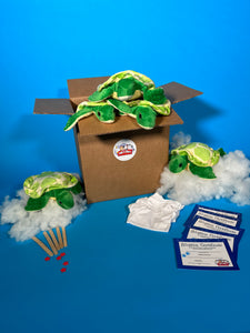 Plush Turtle making kits 5 pack