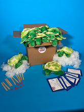 Load image into Gallery viewer, Plush turtle making 10 pack kit