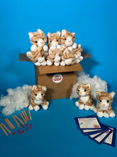 Load image into Gallery viewer, Plush Cat making kit 10 pack