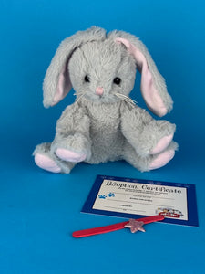 Bunny with wishing star and certificate