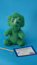 Charger l'image dans la visionneuse de la galerie, Plush Green Dinosaur with Adotpion certificate and wishing star