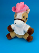 Charger l'image dans la visionneuse de la galerie, Mix Match Adopt and Stuff ParTPets 10-Pack with Western Hat Decorating Activity
