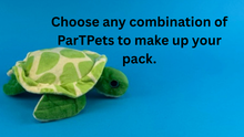 Charger l'image dans la visionneuse de la galerie, Green and white patterned turtle plush toy on a blue background with text.