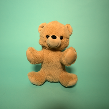 Charger l&#39;image dans la visionneuse de la galerie, Teddy Bear making Brown Bear 5 pack with T shirts