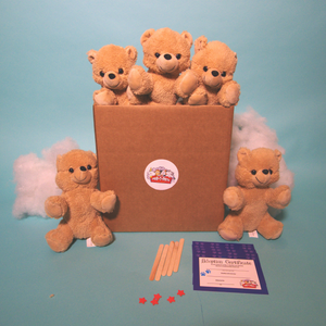 Teddy Bear making kit  Brown Bear 5 Pack (Basic) - no t shirts - ParTPts