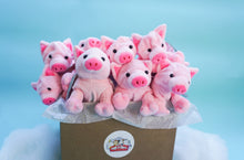 Load image into Gallery viewer, Cute flying pigs
