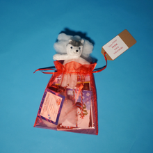 Load image into Gallery viewer, Winter Wonderland Par-T-Pet Plush Husky Kit