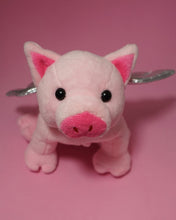 Load image into Gallery viewer, FRONT VIEW FLYING PIG PLUSH PET MAKING KIT FARM 