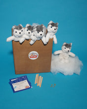 Load image into Gallery viewer, Husky Dog Plush Teddy making kit 5 pack