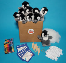 Load image into Gallery viewer, Penguin Plush Teddy Making Kit
